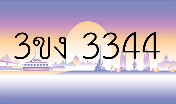 3ขง 3344